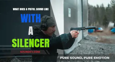 Silenced Shots: Exploring the Hush of a Pistol with a Silencer