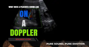 Exploring the Melodies of Life: What Does a Placenta Sound Like on a Doppler?
