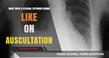Exploring the Sonic Signature of Pleural Effusion: A Guide to Auscultation
