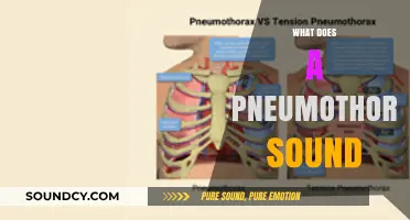 Unraveling Pneumothorax: Understanding the Unique Sounds of a Collapsed Lung