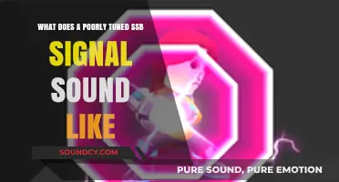 Echoes of Discord: The Unsettling Sound of a Poorly Tuned SSB Signal
