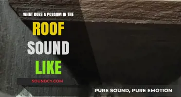 Exploring the Noisy Night: What Does a Possum in the Roof Sound Like?