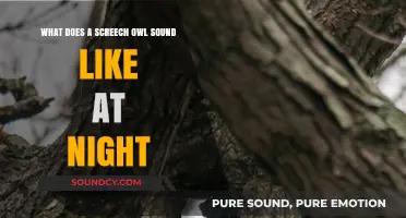 Unveiling the Mysterious Nighttime Calls of the Screech Owl