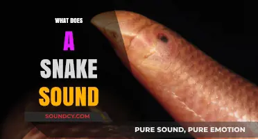 Unveiling the Mystery: What Sounds Do Snakes Actually Make?