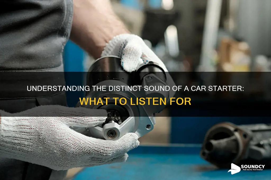 what does a starter sound