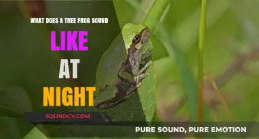 The Serene Nighttime Symphony: Unveiling the Tree Frog's Evening Calls
