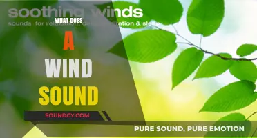 Exploring the Soothing and Powerful Sounds of Wind in Nature