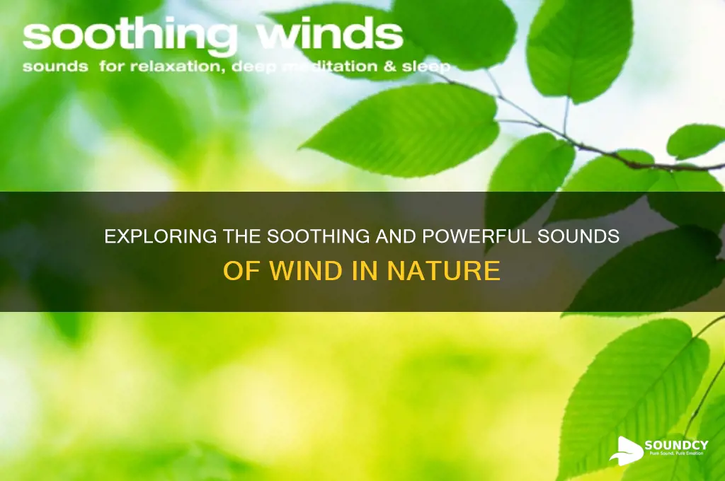 what does a wind sound