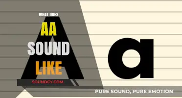 Exploring the Unique Phonetic Qualities of the 'AA' Sound in Language