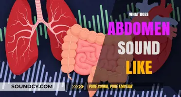Unveiling the Mysterious Sounds of Your Abdomen: What's Normal and What's Not