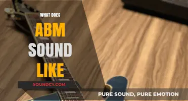 Exploring the Unique Sonic Signature of ABM in Modern Music