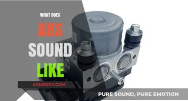 Unveiling the Unique Noise: What Does ABS Sound Like?