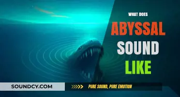 Unveiling the Eerie, Profound Sounds of the Abyssal Depths