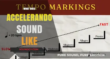 Accelerando Unveiled: Exploring the Dynamic Sound of Musical Acceleration