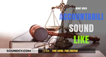 What Does Accountability Sound Like: Voices of Integrity and Responsibility