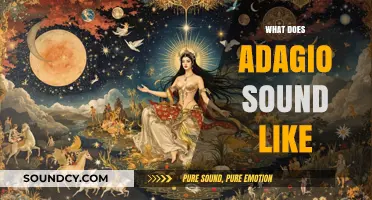 Exploring Adagio: Unveiling the Serene and Melancholic Musical Tempo's Essence
