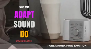Understanding Adapt Sound: Enhancing Audio Experience for Personalized Listening