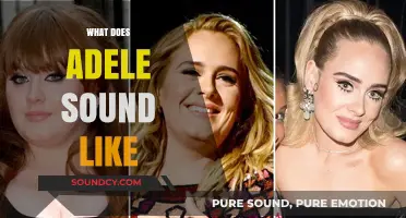Exploring Adele's Soulful Voice: A Unique Blend of Power and Emotion