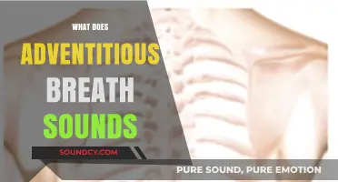 Understanding Adventitious Breath Sounds: Causes, Types, and Clinical Significance