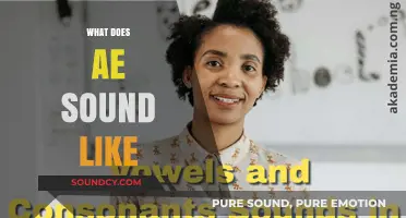Unveiling the Unique Pronunciation: What Does the Sound 'AE' Really Sound Like?