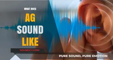 Unveiling the Unique Sonic Signature: What Does Ag Sound Like?