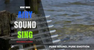 Exploring the Ethereal: What Does an Airy Sound Sing?