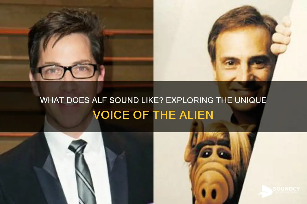 what does alf sound like
