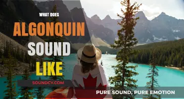 Exploring the Unique Sounds and Rhythms of the Algonquin Language