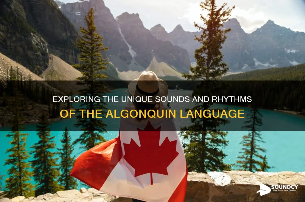 what does algonquin sound like