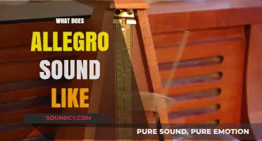 Exploring Allegro's Musical Essence: Tempo, Rhythm, and Emotional Impact