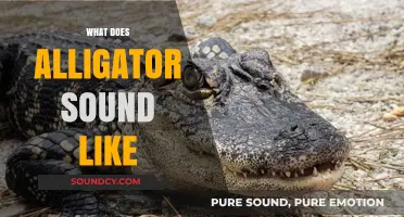 Unveiling the Mysterious and Surprising Sounds of Alligators in the Wild