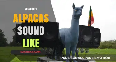 Unveiling the Unique Vocalizations: What Sounds Do Alpacas Make?