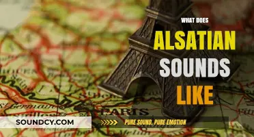 Exploring the Unique Sounds and Accents of Alsatian Speech
