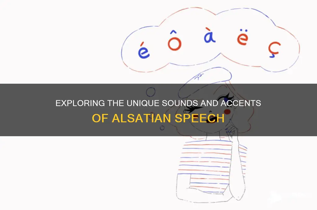 what does alsatian sounds like