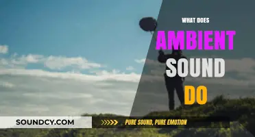 Understanding Ambient Sound: Its Effects and Benefits in Daily Life