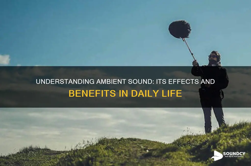 what does ambient sound do