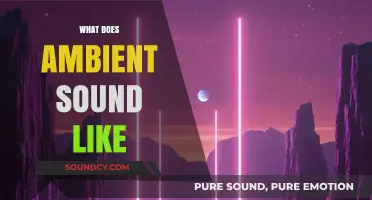Exploring the Subtle, Enveloping Essence of Ambient Soundscapes