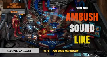 Unveiling the Sonic Signature: What Does an Ambush Sound Like?