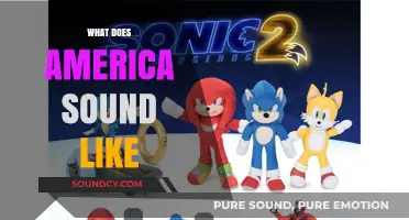 Exploring America's Sonic Identity: A Journey Through Its Diverse Sounds