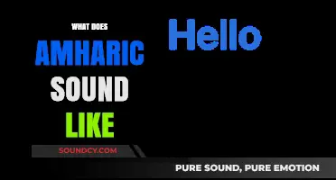 Exploring the Unique Melody and Rhythm of Amharic Speech
