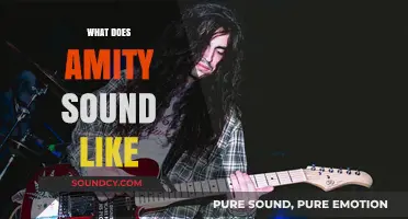 Exploring Amity's Sonic Identity: A Journey Through Its Unique Soundscape