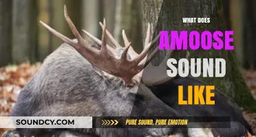 Unveiling the Unique Vocalizations: What Does a Moose Sound Like?