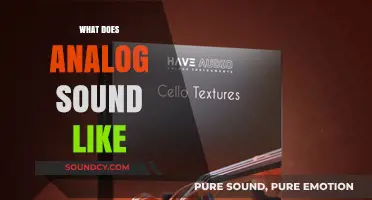 Exploring the Warm, Rich, and Textured World of Analog Sound