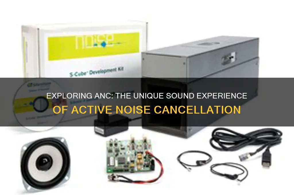 what does anc sound like