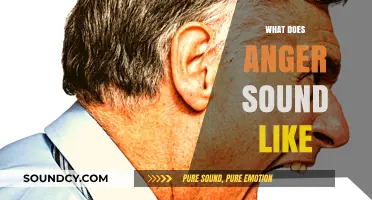 Decoding Fury: The Audible Expressions of Anger and Its Echoes