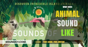 Exploring the Unique Sounds Animals Make: A Guide to Their Voices