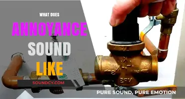 Decoding Annoyance: The Audible Clues to Irritation's Unique Sonic Signature