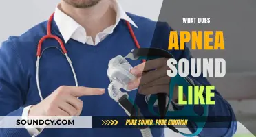 Understanding Apnea: Identifying the Distinct Sounds of Sleep Disruption