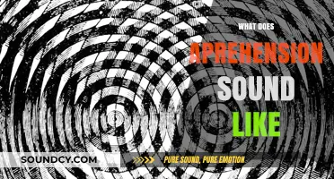 Unraveling the Audible Echoes of Apprehension: A Sonic Exploration
