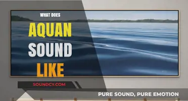 Exploring the Unique Sonic Qualities of Aquan: What Does It Sound Like?